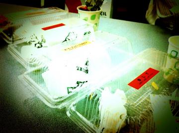 subway�H�ו���