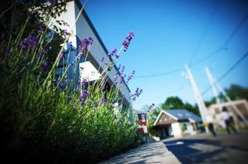 �D�y�s�O�\�{�H��04