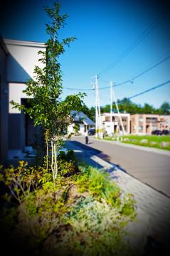 �D�y�s�O�\�{�H��07