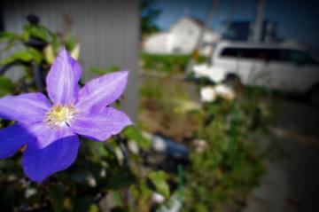 �D�y�s�O�\�{�H��08