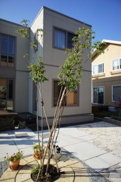 �]�ʎs�O�\01