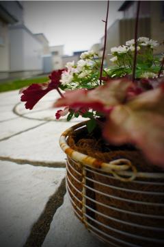 �k��{�H��04