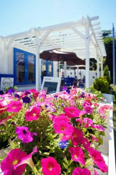 cafe