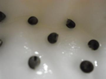 IN]Q]