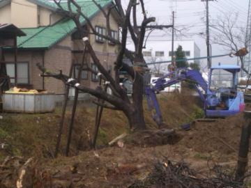 �T�N���ڐA