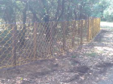 �C�m�V�V�l�b�g