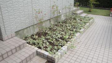 �s���R���Ԓd