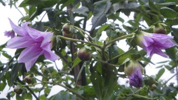 �c��_���A