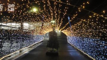 �C���~�l�[�V����
