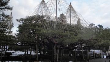 ���Z�����