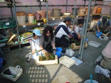 ���ꂳ��Ɖԕc�̐A�͂ł��B