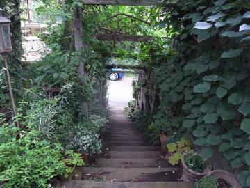 ���؂̃A�v���[�`