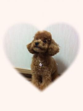 �L���`�@���킢�����`�I�I