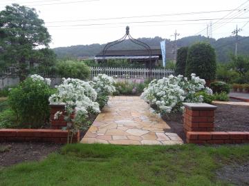 ���C���K�[�f��