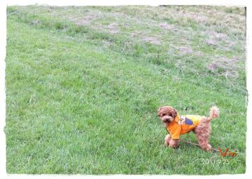 �с[������