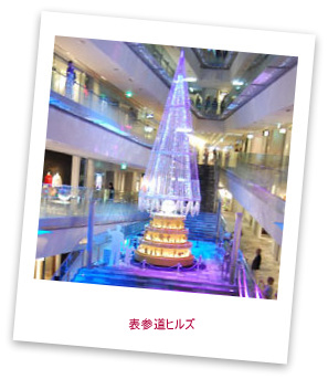 �\�Q���q���Y�̃c���[��