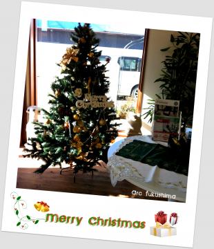 �n�C���o���オ��