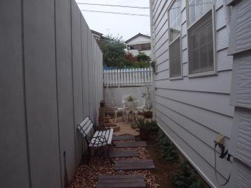 �B�ꂽ�y����