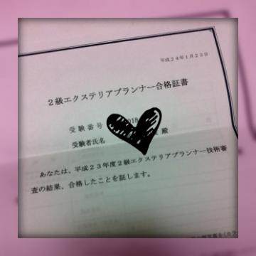 �G�N�X�e���A�v�����i�[2��