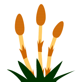 �y�M��ڂ���