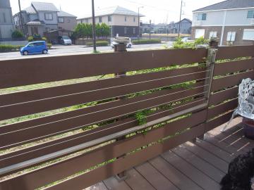 �X�b�L�����[