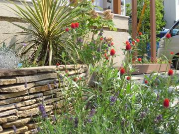 �Ԃ��Ԃ��f����