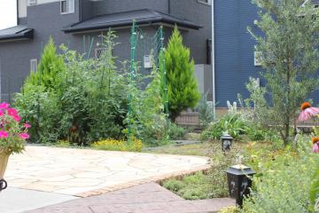 ���̌o�߂ƂƂ���