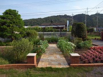 �A�͂͐����΂�