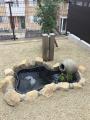 お庭の池