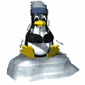 penguin