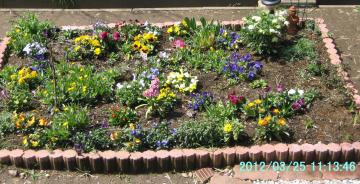 flowerbed325