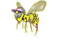 bee