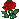 redrose