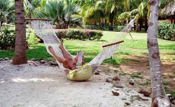 hammock