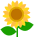 sunflower gif