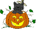 Halloween pumpkin and black cat