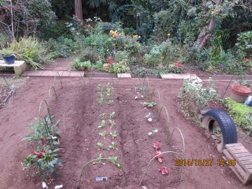 table garden