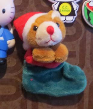 santa bear in socks   magnet 