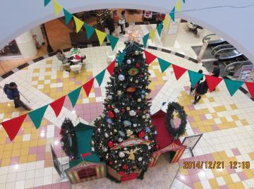 Christmas tree from above