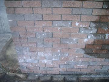 ���،���