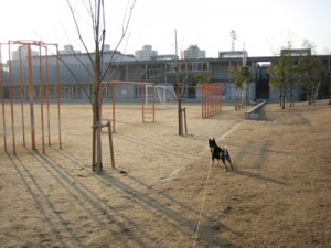 �����̎���