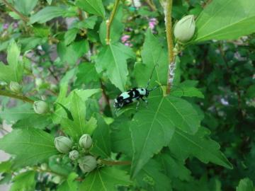 �J�~�L�����V