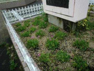 �G���g�����X