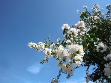 �T���X�x��