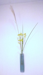 �I�~�i�G�V�ƃX�X�L