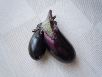 Ō̃iX