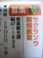 広報の記事