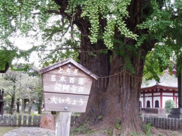傢傤