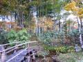 広い和風庭園