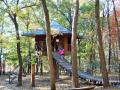 樹上の小屋